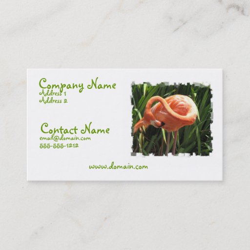 Customizable Tropical Flamingo Business Card