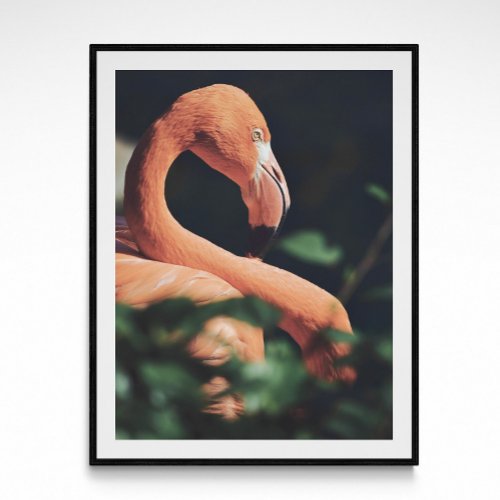 Tropical Flamingo Photography Poster 