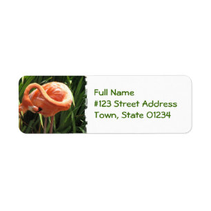 Tropical Flamingo Return Address Label