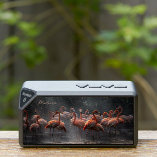 Tropical Flamingos custom name Bluetooth Speaker