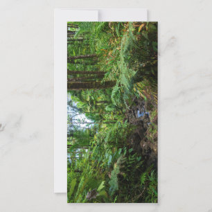 Tropical flora of el yunque rainforest