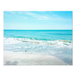 Tropical Florida Beach Sand Ocean Waves Sandpiper Photo Print