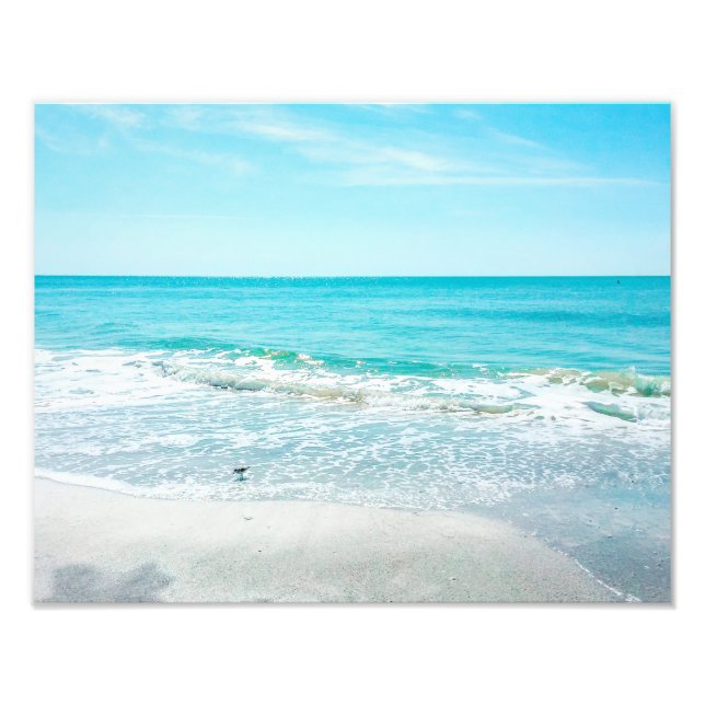 Tropical Florida Beach Sand Ocean Waves Sandpiper Photo Print (Front)