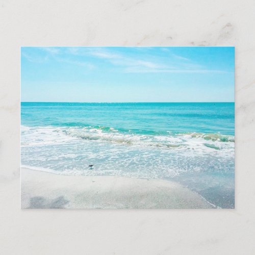 Tropical Florida Beach Sand Ocean Waves Sandpiper Postcard