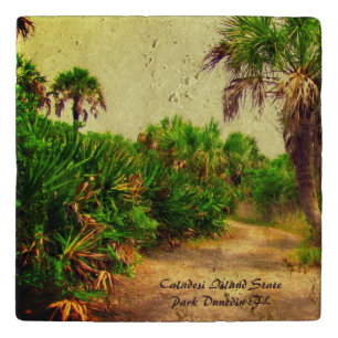 Tropical Florida Trail Lined with Palm Trees Trivet