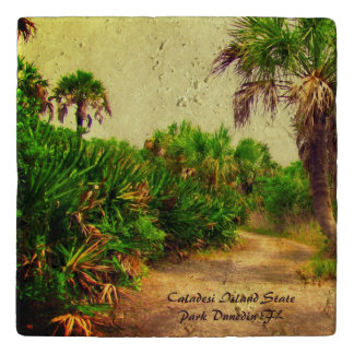 Tropical Florida Trail Lined with Palm Trees  Trivet