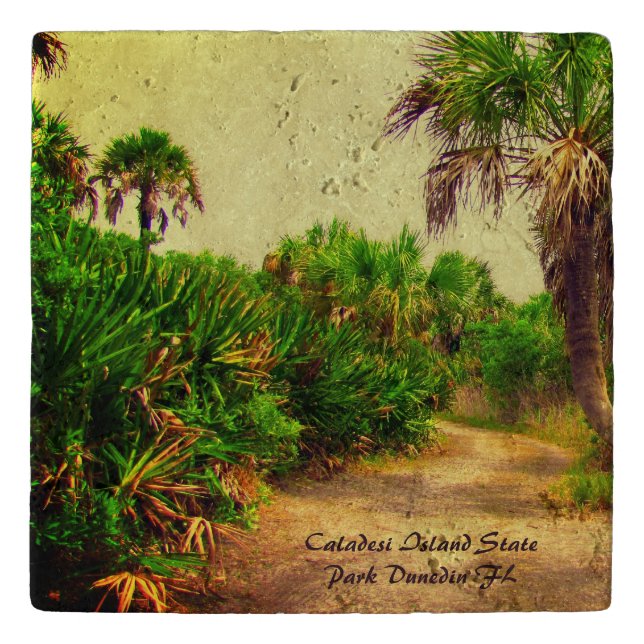 Tropical Florida Trail Lined with Palm Trees  Trivet (Front)