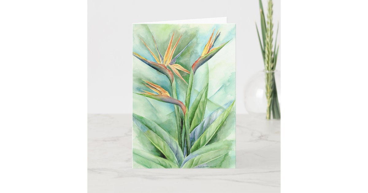 Tropical Flower Bird Of Paradise Painting Multi Card Zazzle Com