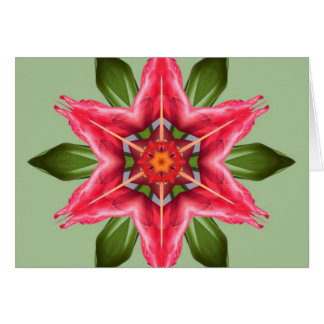 Tropical Flower Cards