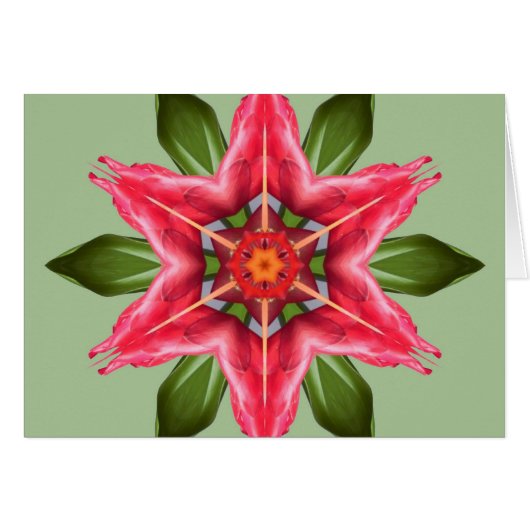 Tropical Flower Cards (Front Horizontal)