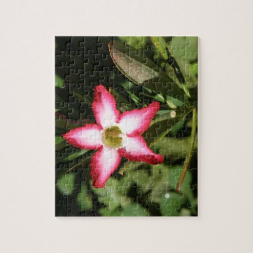 Tropical flower fiesta _ Flor de Rosa del desierto Jigsaw Puzzle