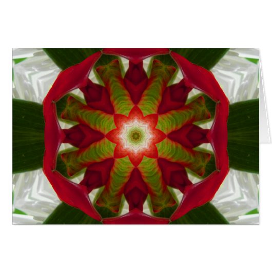 Tropical Flower Mandala (Front Horizontal)
