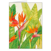 Tropical Flowers | Bird of Paradise (Front)