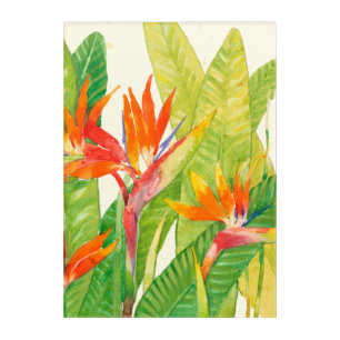 Tropical Flowers Bird of Paradise Acrylic Print