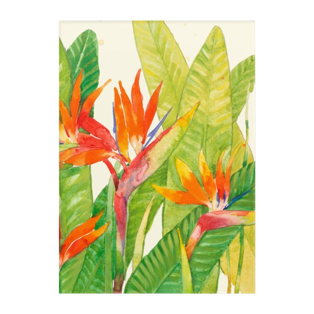 Tropical Flowers | Bird of Paradise Acrylic Print (Front)