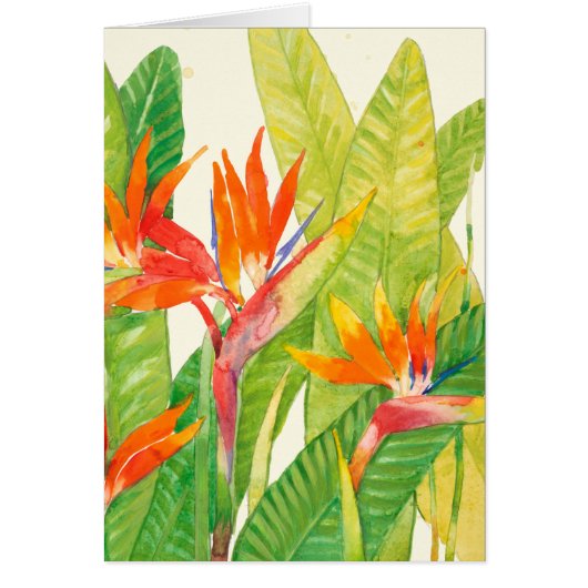 Tropical Flowers | Bird of Paradise Cards (Front)