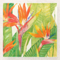 Tropical Flowers | Bird of Paradise