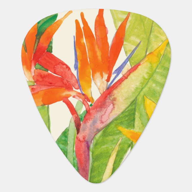 Tropical Flowers | Bird of Paradise Guitar Pick (Front)