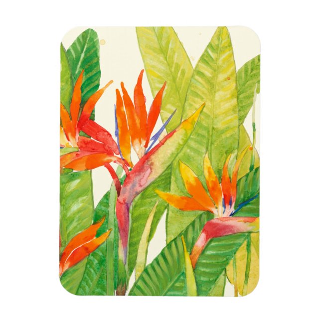 Tropical Flowers | Bird of Paradise Magnet (Vertical)