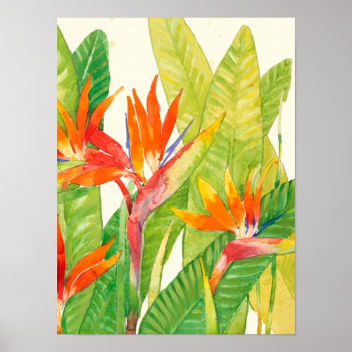 Tropical Flowers  Bird of Paradise Poster