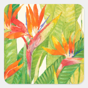 Tropical Flowers Bird of Paradise Square Sticker