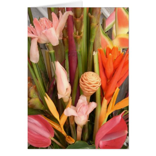 Tropical flowers - Blank Card (Front)