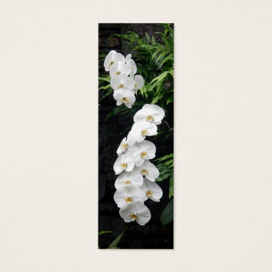 Tropical Flowers Bookmark (Front)