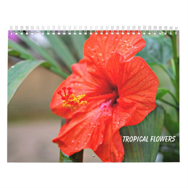 Tropical Flowers Calendar (Cover)