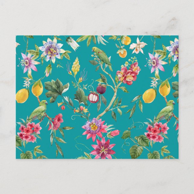 Tropical Flowers, Fruit and Birds Teal   Postcard (Front)