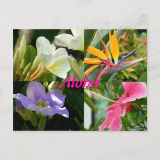 Tropical Flowers of Kauai Hawaii Postcard