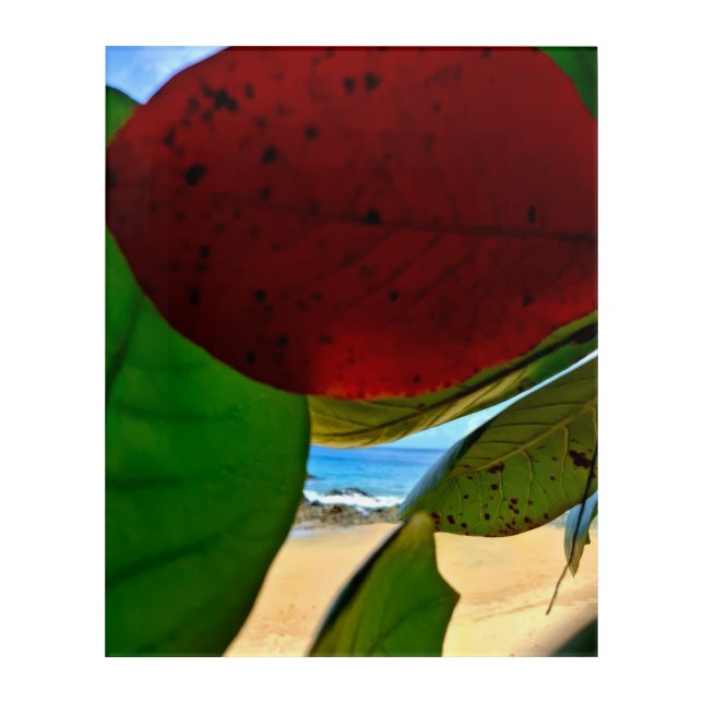 Tropical Foliage & Ocean Peek – Acrylic Wall Art (Front)