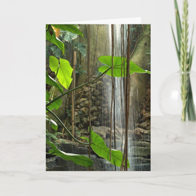 Tropical Forest (Condolence Card) Card (Front)