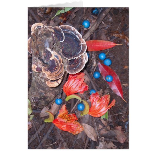 Tropical Forest Floor Cards (Front)