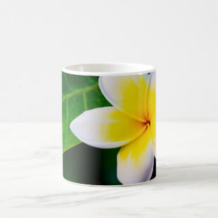 Tropical Frangipani Floral Photography Coffee Mug