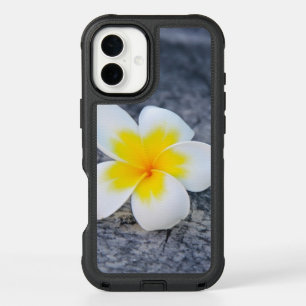 Tropical Frangipani Floral Photography iPhone 16 Plus Case