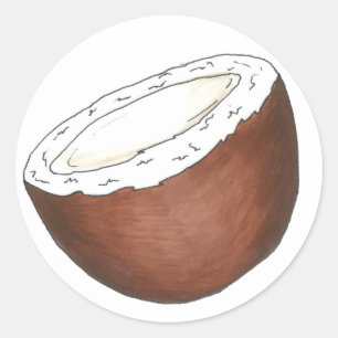 Tropical Fruit Coconut Coconuts Stickers