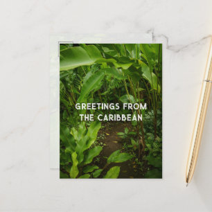 Tropical garden, Caribbean travel Postcard