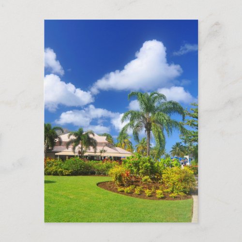 Tropical garden postcard