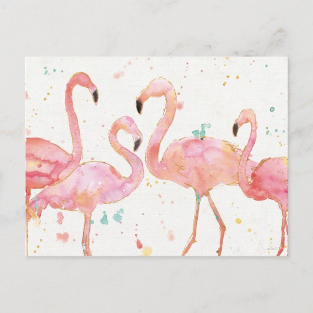 Tropical | Gathering of Flamingos Postcard (Front)