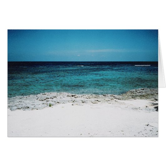 Tropical Gaze Cards (Front Horizontal)