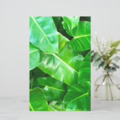 Tropical Green Foliage (Standing Front)