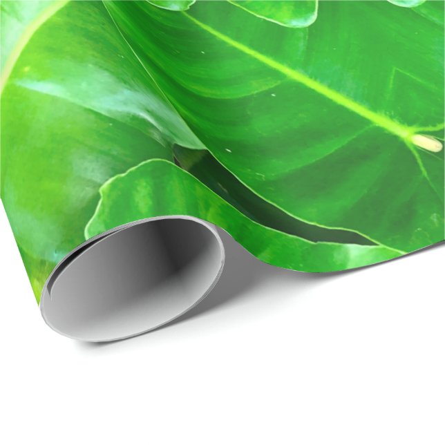 Tropical Green Foliage Wrapping Paper (Roll Corner)