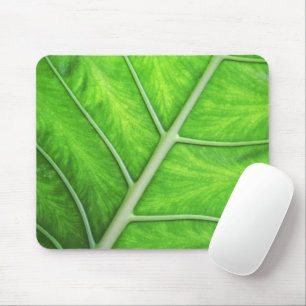 Tropical Green Leaf Texture Spa Zen Nature Photo Mouse Pad