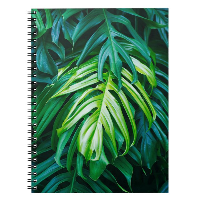 Tropical green leaves on dark background, nature s notebook (Front)