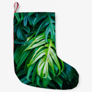 Tropical green leaves on dark background, nature s small christmas stocking
