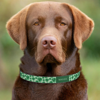 Tropical Green Monstera Palm Leaves &amp; Custom Name Pet Collar