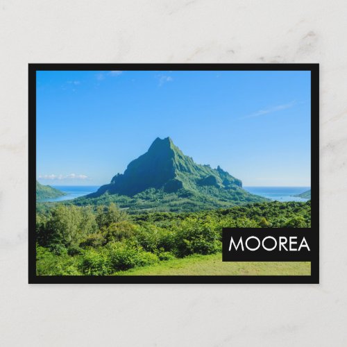 Tropical green Moorea black frame postcard