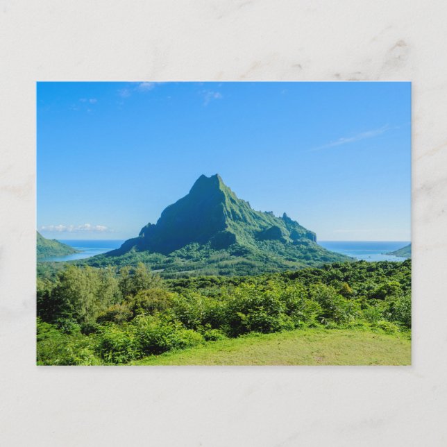 Tropical green Moorea postcard (Front)