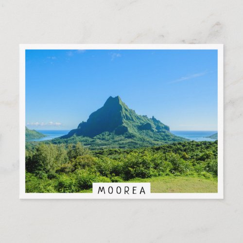 Tropical green mountain on Moorea Postcard
