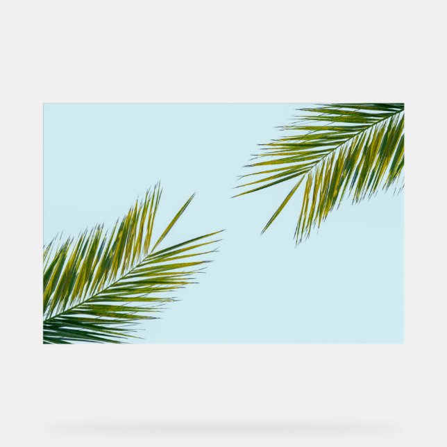 Tropical Green Palm Frond on Light Blue Acrylic Sign (Front)